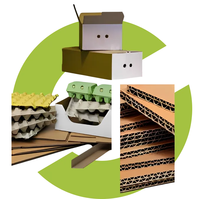 Appropack Emballage Alimentaire Carton Bloc Entreprise